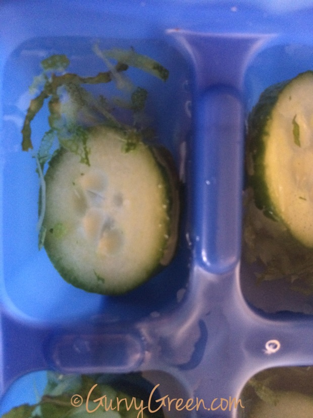 How to make a cucumber, mint, lemon zest infused ice cube